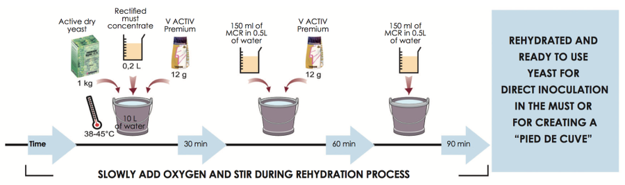 Rehydration of dry yeasts - Vason procedure